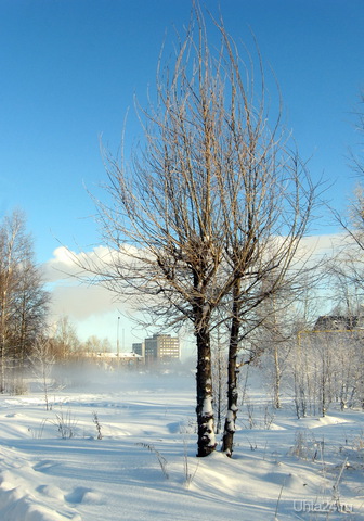 2011г. В парке. Природа Ухты и Коми Ухта