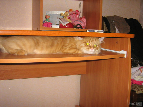 Вместо клавы  Ухта