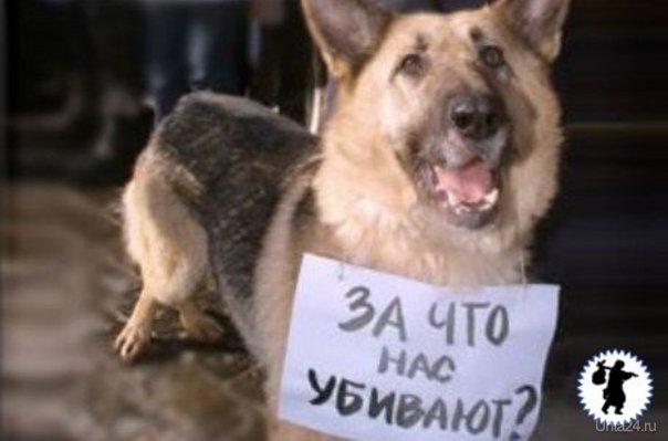плакат  Ухта