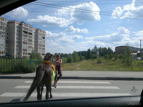на пешеходном переходе у СМНа. Не идет кобылка!  Ухта