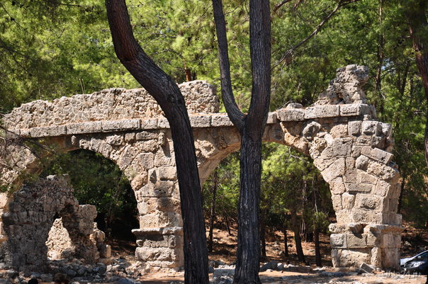 . Phaselis. 3   ..


    