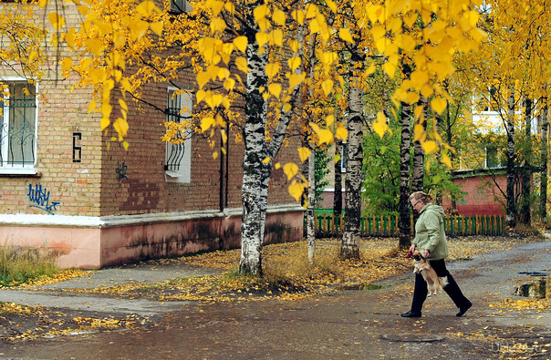 ул. Кремса Улицы города Ухта