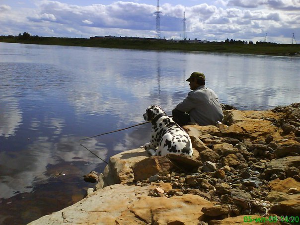 Поляна, июль 2009 г Природа Ухты и Коми Ухта