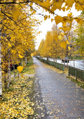 Красиво. Улицы города Ухта