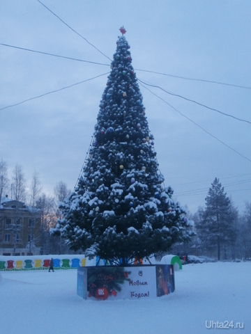 Елочка на Первомайской площади.  Ухта