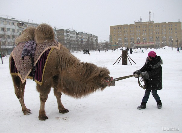 Большой и упрямый малыш!  Ухта