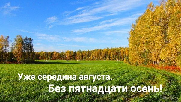 Скоро осень.  Ухта