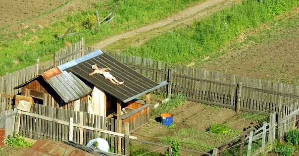 Дача, это место для отдыха души  Ухта