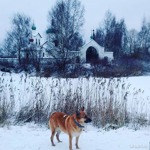 рыжее в сине-серой графике СПб))
Принцесса Мэри Маргарет))  Ухта